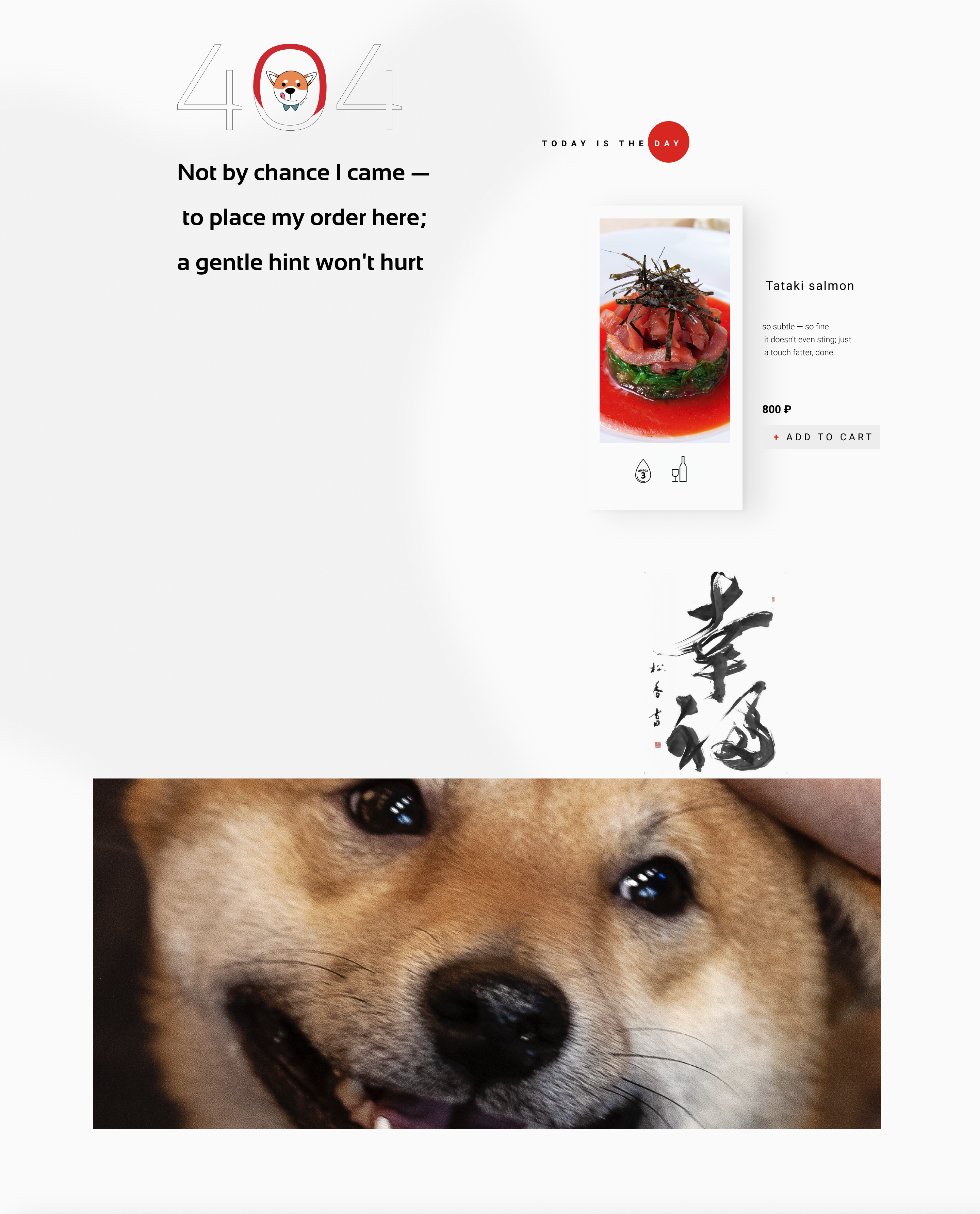 Shiba 404 page