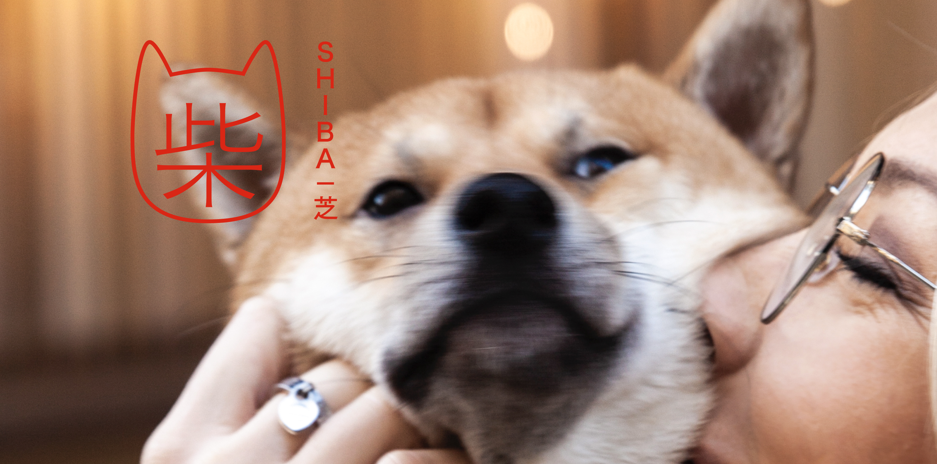 Shiba Inu — the restaurant's brand character